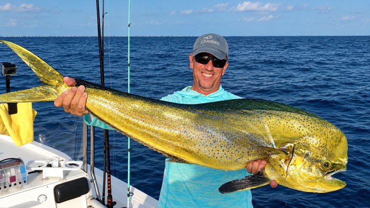 Angler holding a golden mahi-mahi aboard a fishing boat.